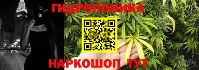 a pvp Будённовск