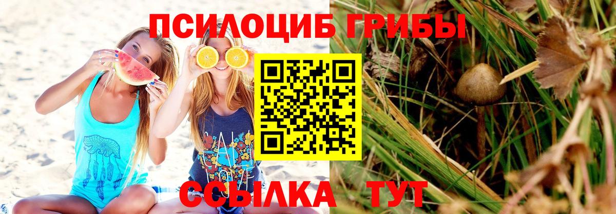 Псилоцибиновые грибы MAGIC MUSHROOMS Чебаркуль